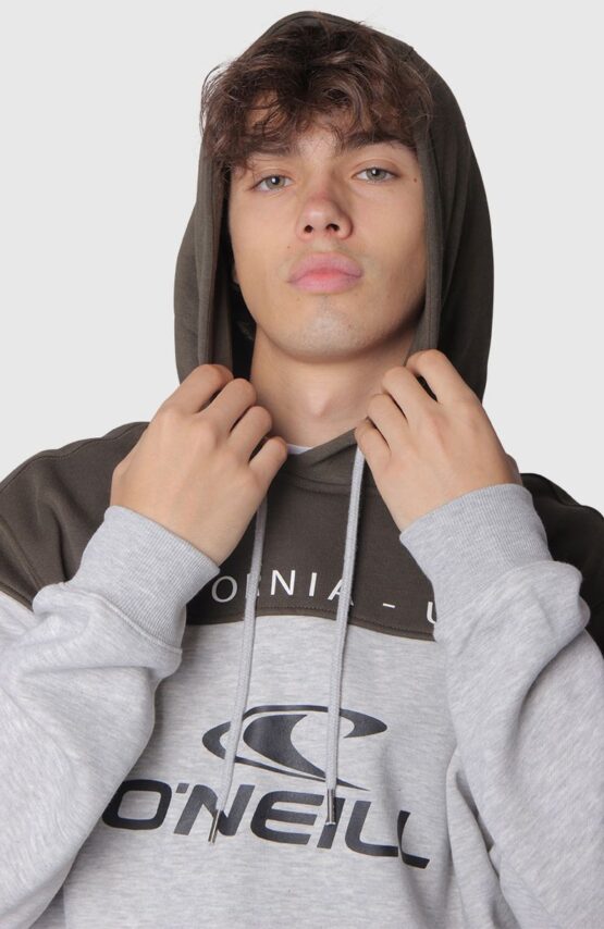 BUZO O'Neill URBAN GRIS/VERDE - Imagen 3